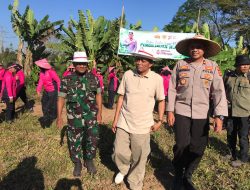 Penghijauan Sejak Dini, TNI, Polri Dan Pemda Tanam Ribuan Pohon Di Hutan Desa Lantan 