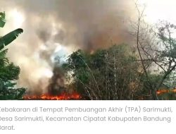 Perhutani Bandung Utara, Pastikan Kebakaran di Lahan TPA Sarimukti, Tidak Merembet ke Kawasan Hutan