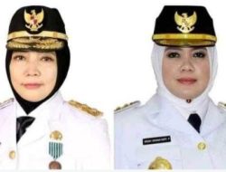 Politisi Partai Perindo , Rohmi-Dinda Berpotensi Maju di Pilgub 2024