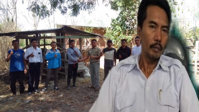 Tahun 2023, PPK Muhlis: Bantuan Ternak Sapi Tuntas Disalurkan