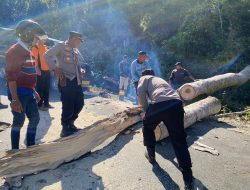Kapolsek Brang Rea Bersama Anggota Evakuasi Pohon Tumbang