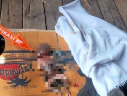 Polsek Ampenan Olah TKP Penemuan Bayi diPantai Bangsal