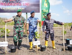 Peduli terhadap Upaya Pelestarian Alam, 7.000 Bibit Mangrove Ditanam Oleh TNI Sewilayah NTB