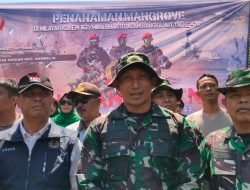Kodim 1615/Lotim Tanam Ribuan Mangrove Sambut HUT TNI ke 78