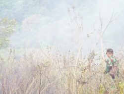 Kawasan TNGR Kebakaran, Koramil dan Polsek Sembalun Bersama TNGR Sigap Padamkan Api