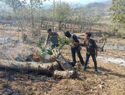Anggota Polsek Plampang Padamkan Kebakaran Lahan warga