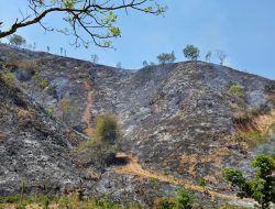 Polres Loteng Padamkan Kebakaran Lahan Dekat Sirkuit Mandalika