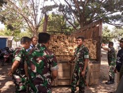 Diduga Ilegal, Timgab Amankan Truk Muatan Puluhan Kayu