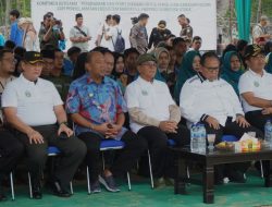Plt Bupati Langkat Dan Pj Gubsu Tanam 10 Ribu Bibit Mangrove
