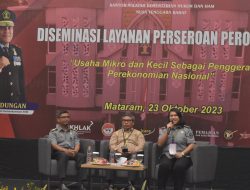 Terobosan Pemerintah Majukan UMKM Indonesia Melalui Persero Perorangan