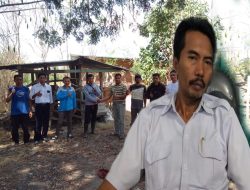 PPK Muhlis: 638 Ekor Kambing Didistribusikan ke 45 Kelompok