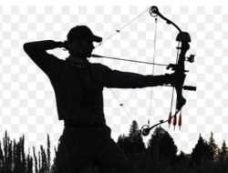 Polisi Tangkap Pelaku Pemanahan di Karang Taliwang