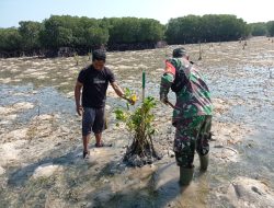 Lestarikan Hutan Mangrove, Danramil 1615-03/Sambelia Ungkap Manfaatnya