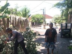 Poling Bersama Warga Antisipasi Pohon Tumbang