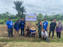 Karang Taruna Stabat Lama Barat Tanam Seribu Pohon