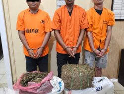 Sat Narkoba Polres Langkat Amankan Tiga Tersangka dan 32 Kg Ganja
