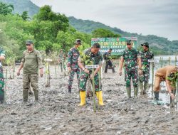 Danrem 162/WB Pimpin Penanaman 3000 Pohon Mangrove Di Pantai Amahami Kota Bima