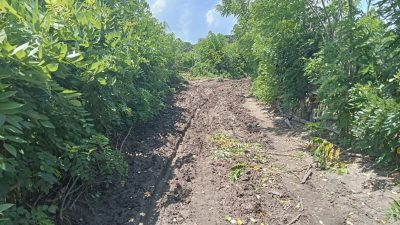 Berbagai Program digelontorkan ke Petani, H Johan Bangun JUT di Penyaring