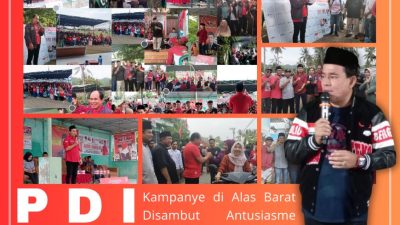 Kampanye di Alas Barat, Rafiq Disambut Ratusan Pendukung