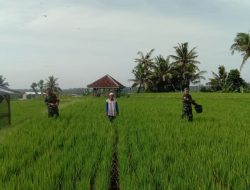Dandim 1615/Lotim : “Manfaatkan Lahan Kosong Untuk Ketahanan Pangan”