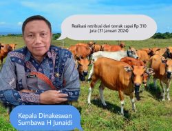 Targetkan Retribusi 1,9 Milyar, H Jun: Realisasi 310 Juta