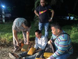 Satresnarkoba Tangkap Pengedar 7 Kilo Gram Ganja Kering Siap Edar
