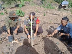 Satgas TMMD ke 120 Kodim 1614/Dompu dan Masyarakat Hijaukan Dam Mumbu Dengan Ribuan Bibit Pohon