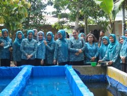 Ketua Pj.TP.PKK Kabupaten Langkat Memberikan Pembinaan di Kegiatan UP2K PKK