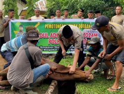 Polres Langkat Potong Hewan Kurban 9 ekor Lembu dan 8 Ekor Kambing
