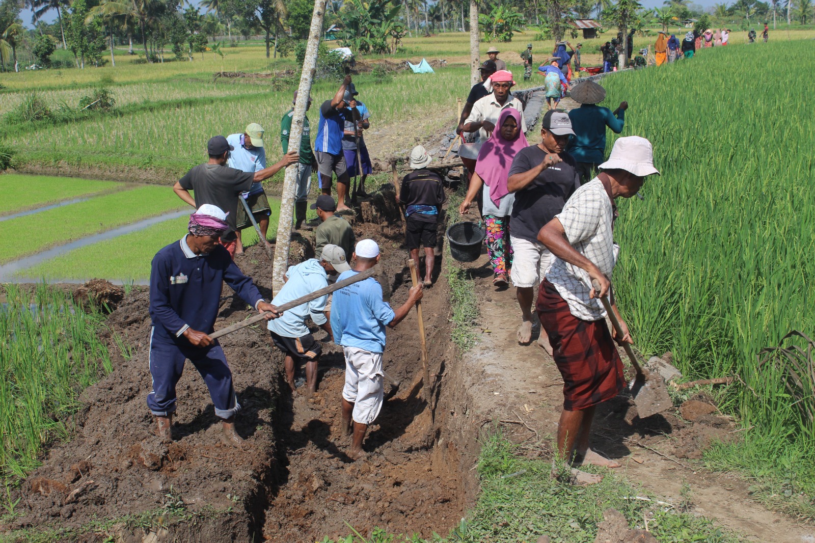 Dandim 1615/Lotim Apresiasi Semangat Gotong – Royong Warga Desa Loyok