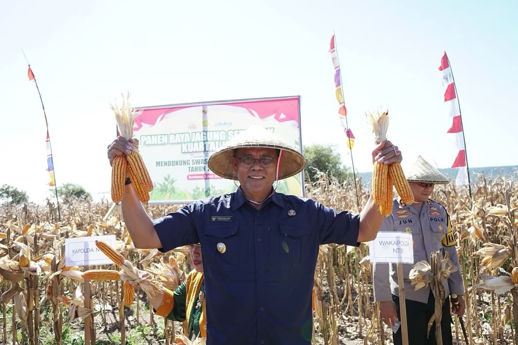 Produksi Meningkat, Bupati H. Jarot Sebut 6000 Ton Jagung Diekspor