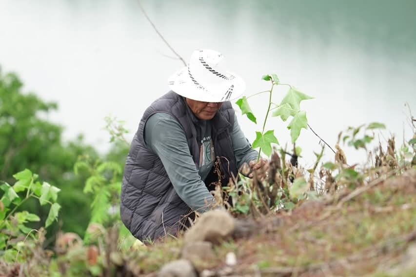 Gerakan Sumbawa Hijau, Bupati Jarot Pimpin Tanam Pohon Untuk Mengubah Masa Depan