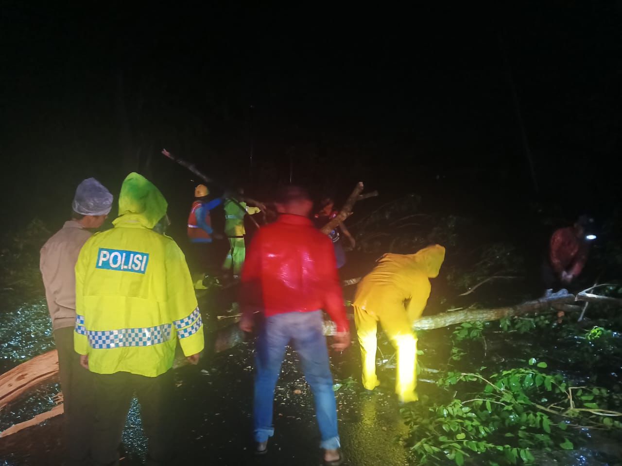 Akibat Hujan dan Angin Kencang Banyak Pohon Tumbang