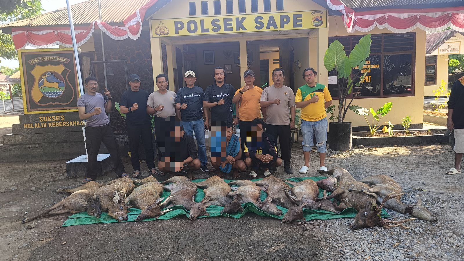 Tiga Warga Monta Diamankan, Diduga Bawa 10 Rusa dari Komodo