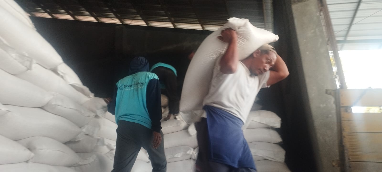 Hamzah Gempur: Ratusan Ton Jagung Petani Belum dibayar, Supplier Bongkar Gudang