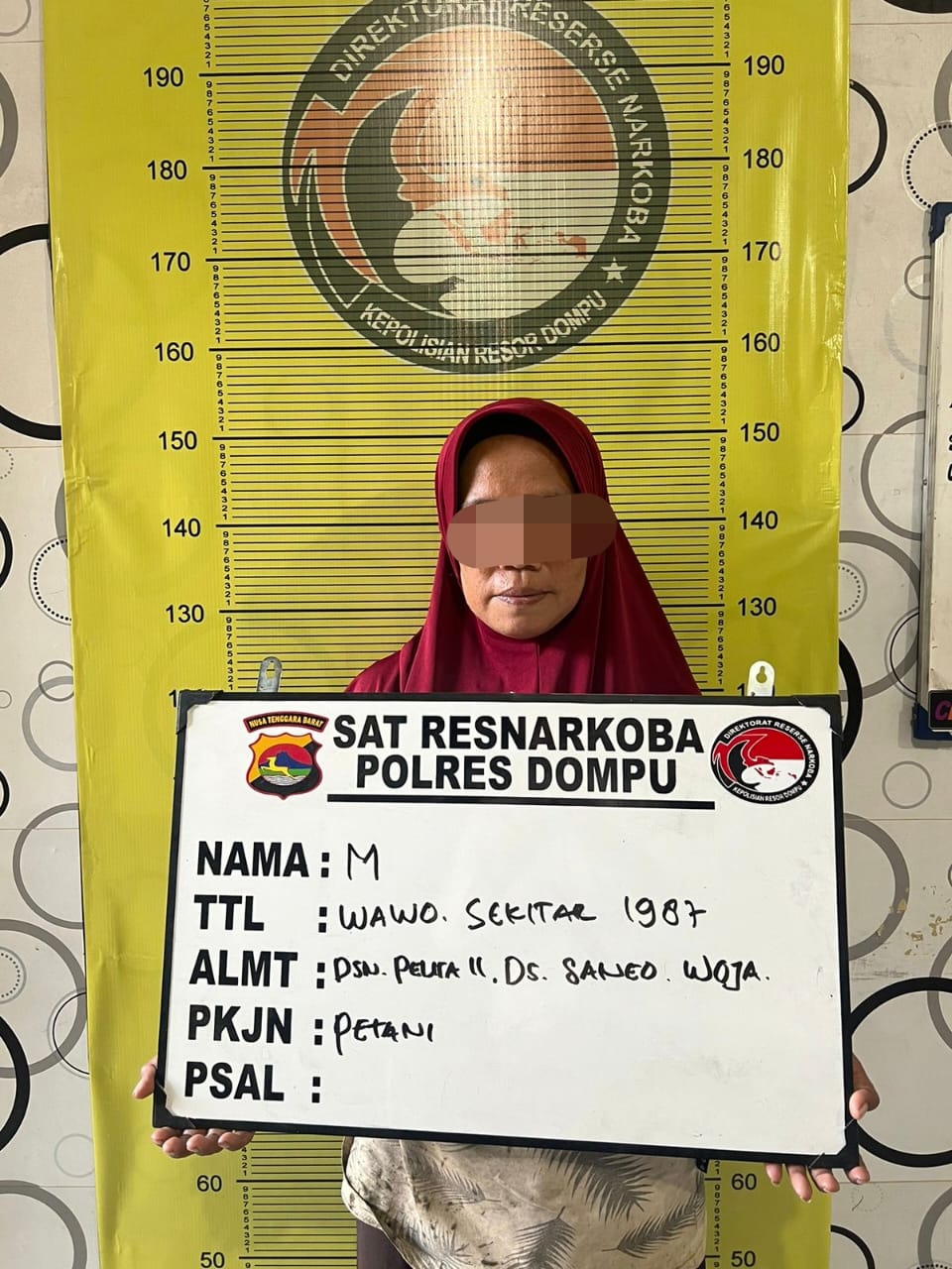 Satresnarkoba Polres Dompu Tangkap seorang perempuan Terduga Pengedar Sabu di Desa Saneo