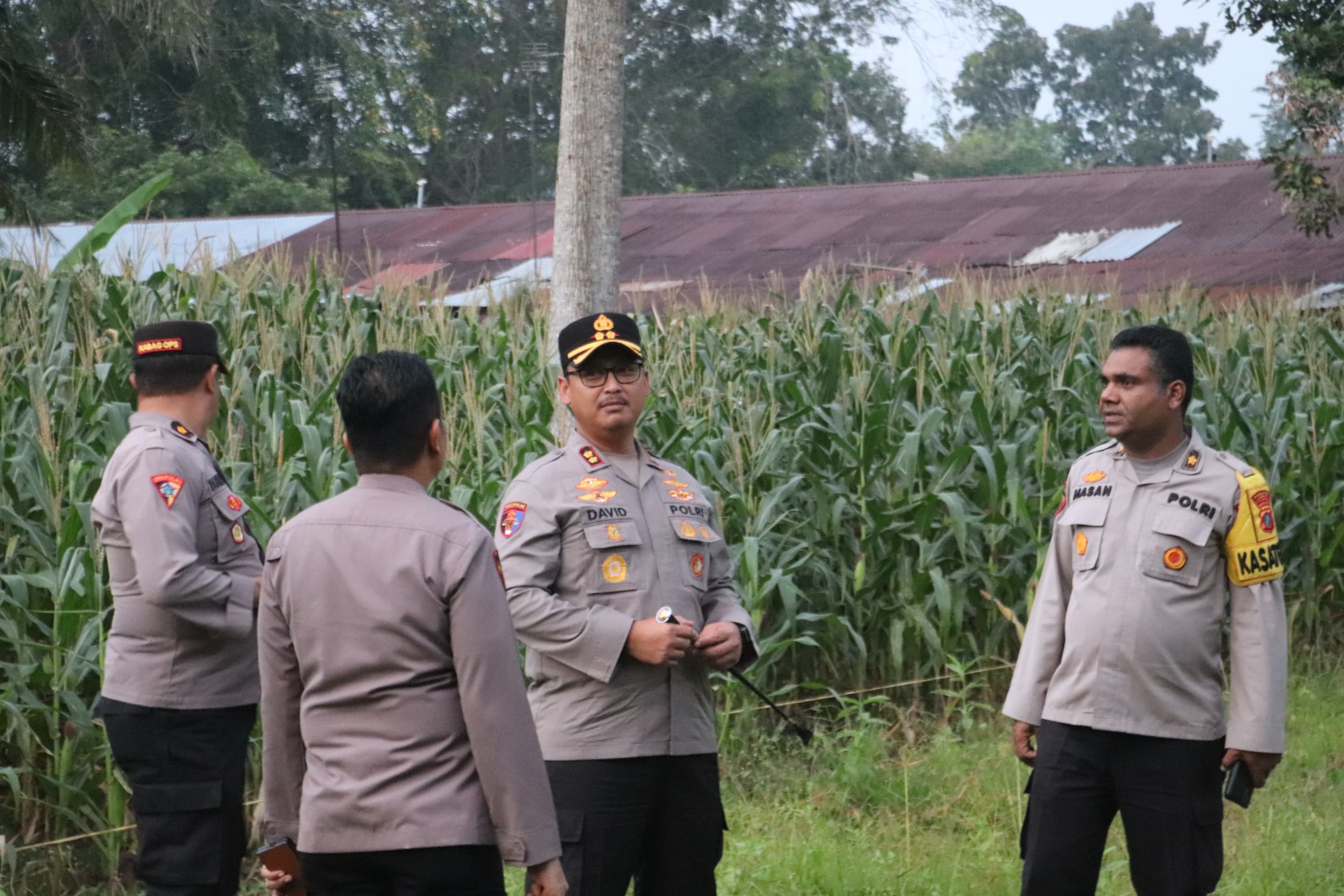 Dukung Program Asta Cita Prabowo, Kapolres Langkat Tinjau Lahan Jagung di Asrama Polres