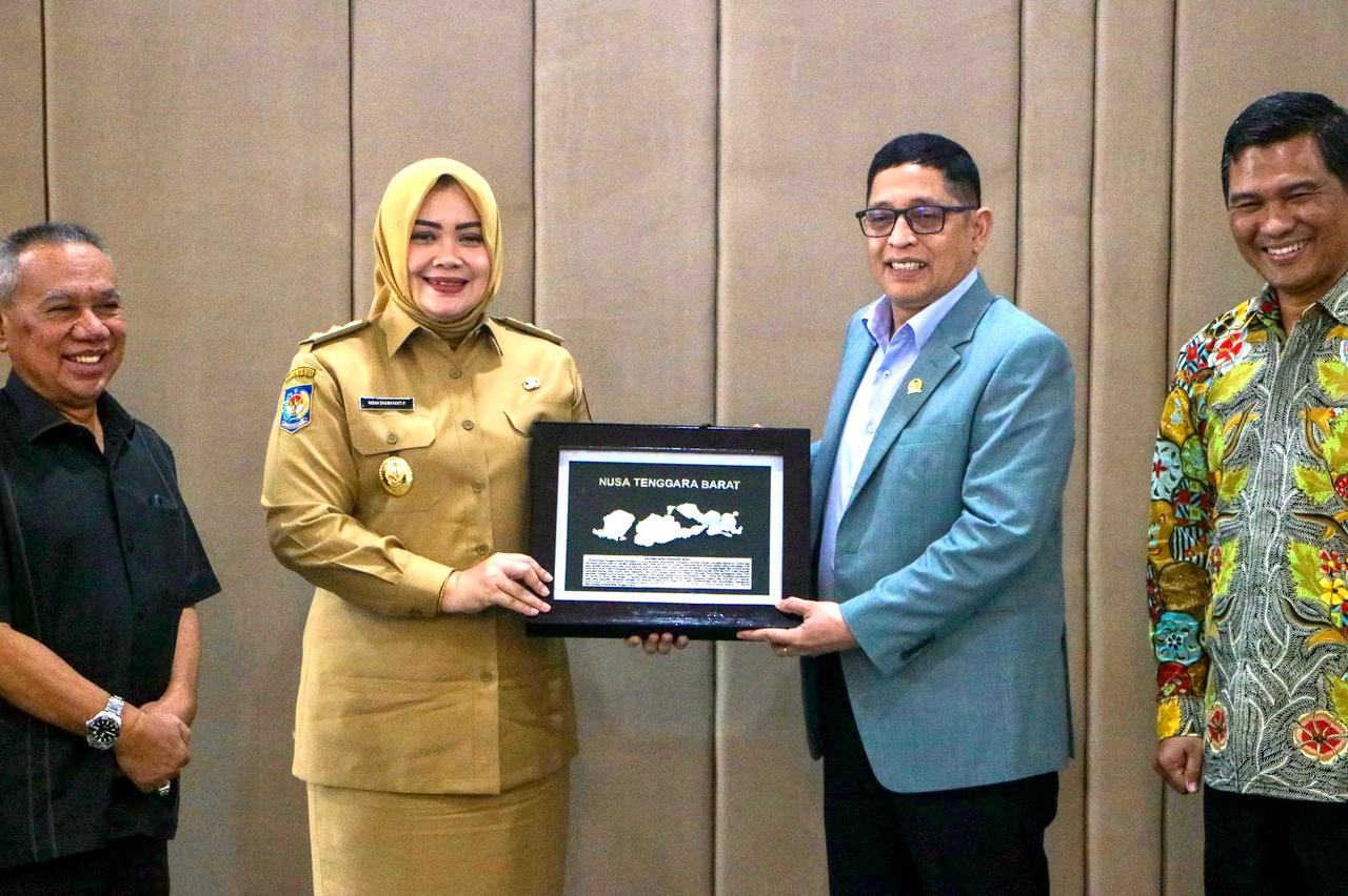Terima Kunker Baleg DPR RI, Wagub NTB Umi Dinda: Tekankan Berbagai Permasalahan PMI