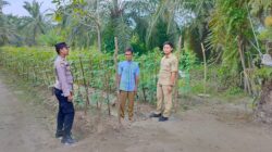 Polsek Medang Deras Bersama PPL Tinjau Lokasi Kebun Warga