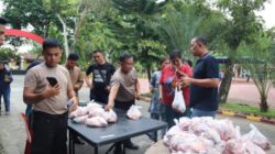 Kapolres Langkat Serahkan 12 Ekor Sapi dan 5 Ekor Kambing Hewan Kurban di Momen Idul Adha 1446 H