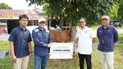 Tebar Keberkahan PT Inalum Salurkan 47 Ekor Hewan Qurban