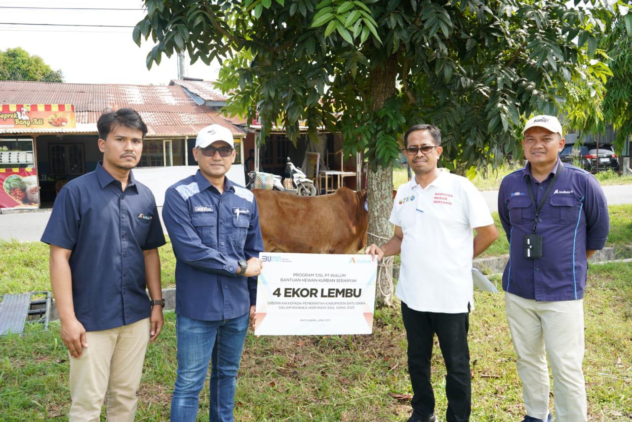 Tebar Keberkahan PT Inalum Salurkan 47 Ekor Hewan Qurban