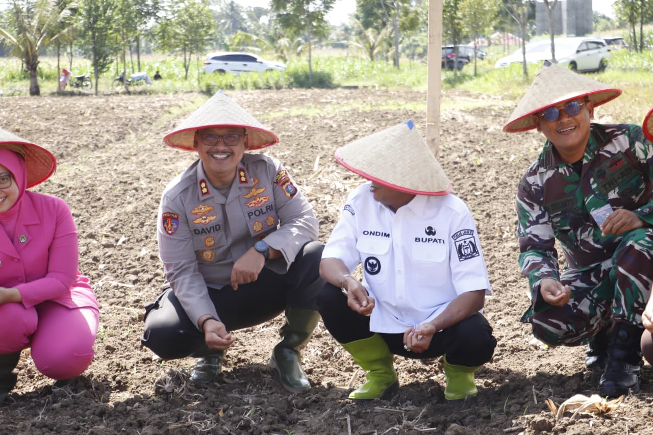 Kapolres Langkat Laksanakan Penanaman Jagung Kuartal IV di Lahan Pertanian Binaan Polres Langkat