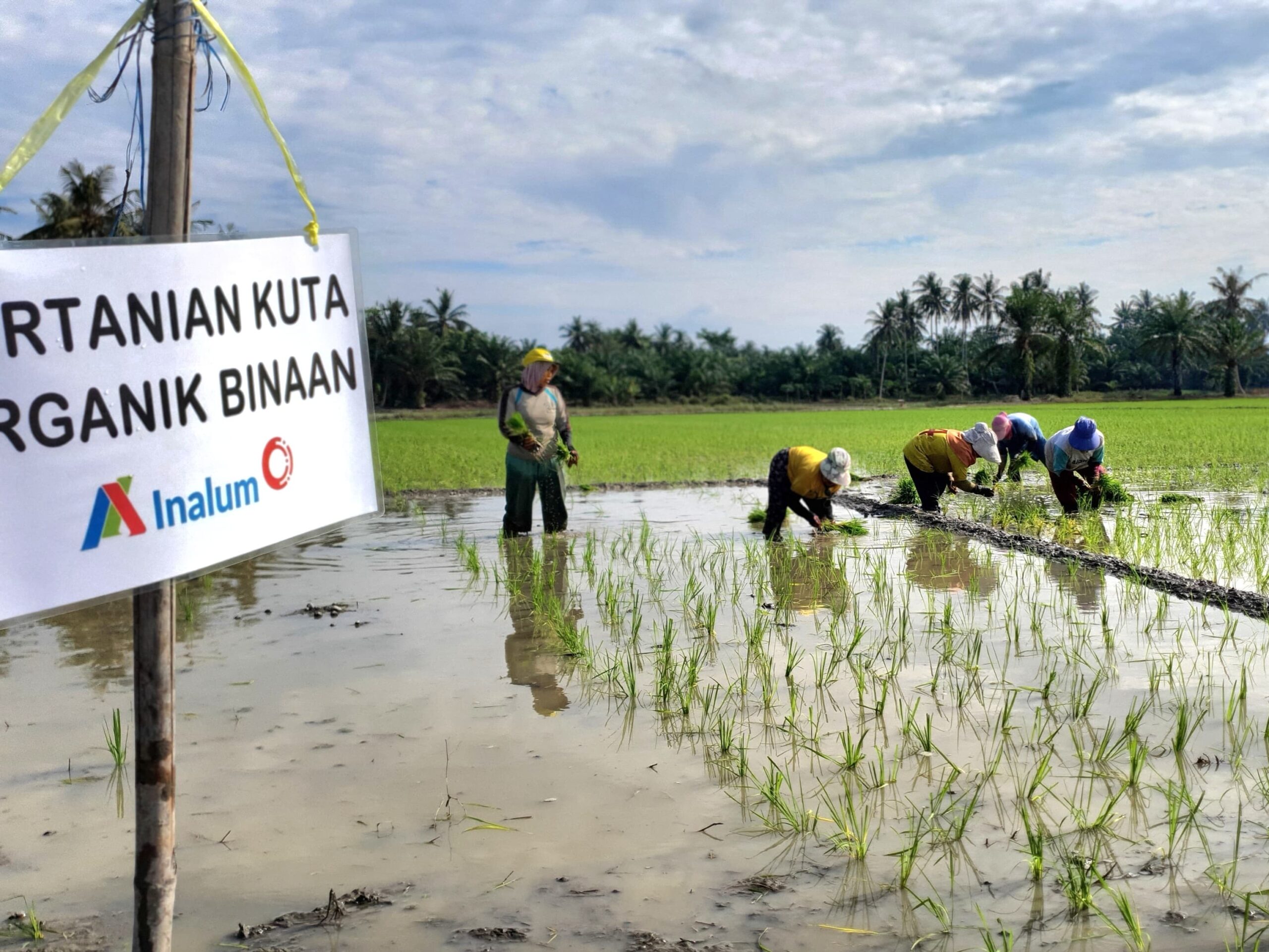 INALUM Dukung Pertanian Berkelanjutan Lewat Penerapan Metode Tani Nusantara