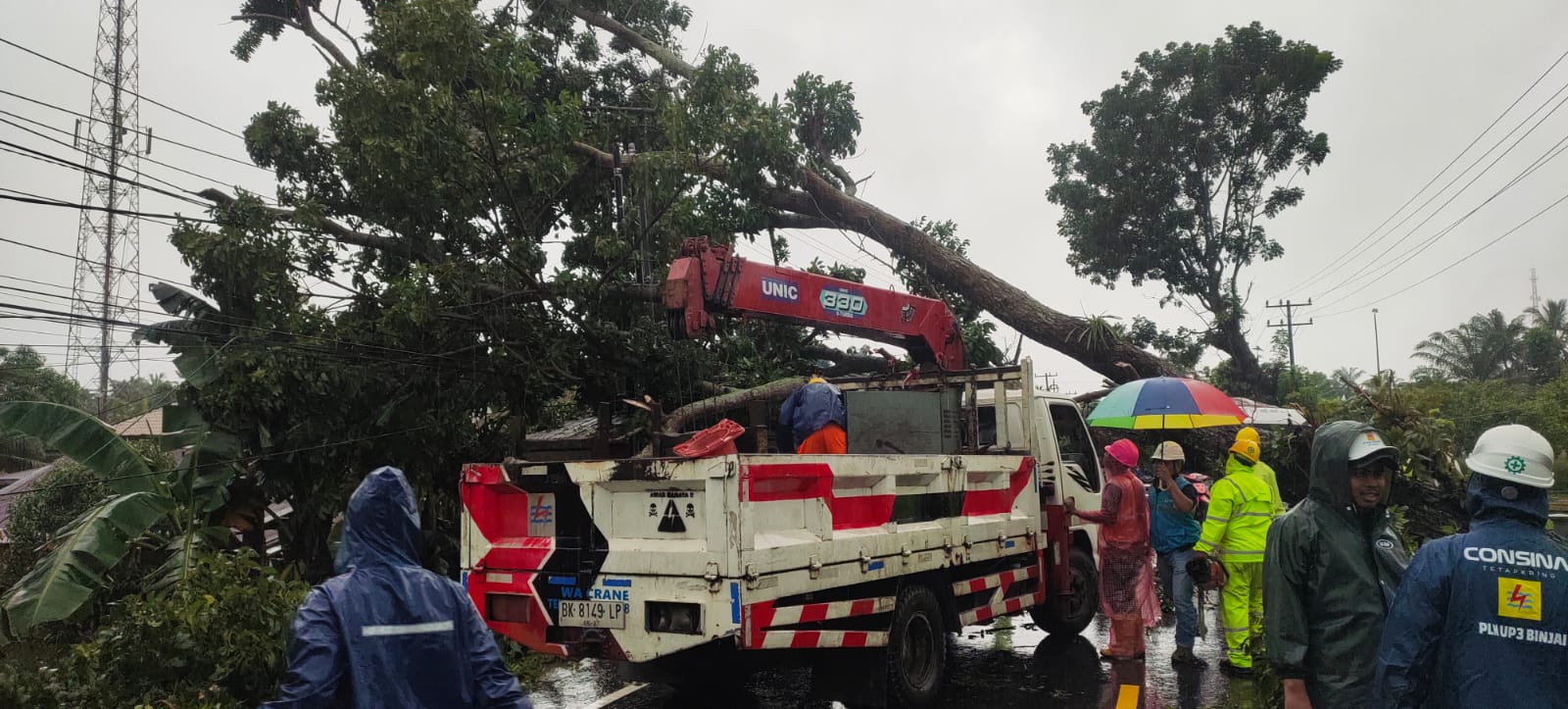 Polsek Pangkalan Brandan Antisipasi Kemacatan Akibat Pohon Akasia Tumbang di Jalan Lintas Medan–Banda Aceh