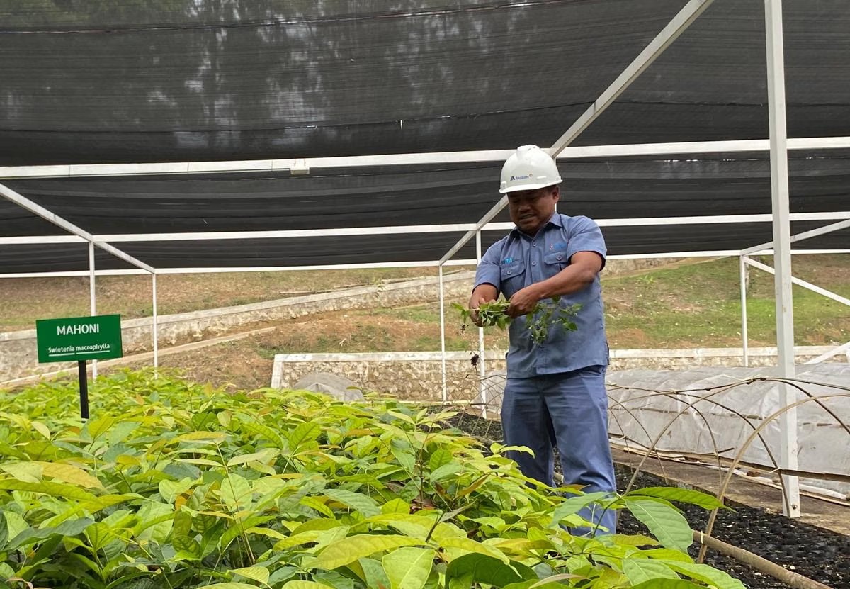 Kolaborasi Inalum dan PJT 1 untuk Konservasi Air, Hutan, dan Masa Depan Danau Toba