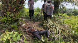 Warga Desa Buluh Telang Temukan Mayat Mr X