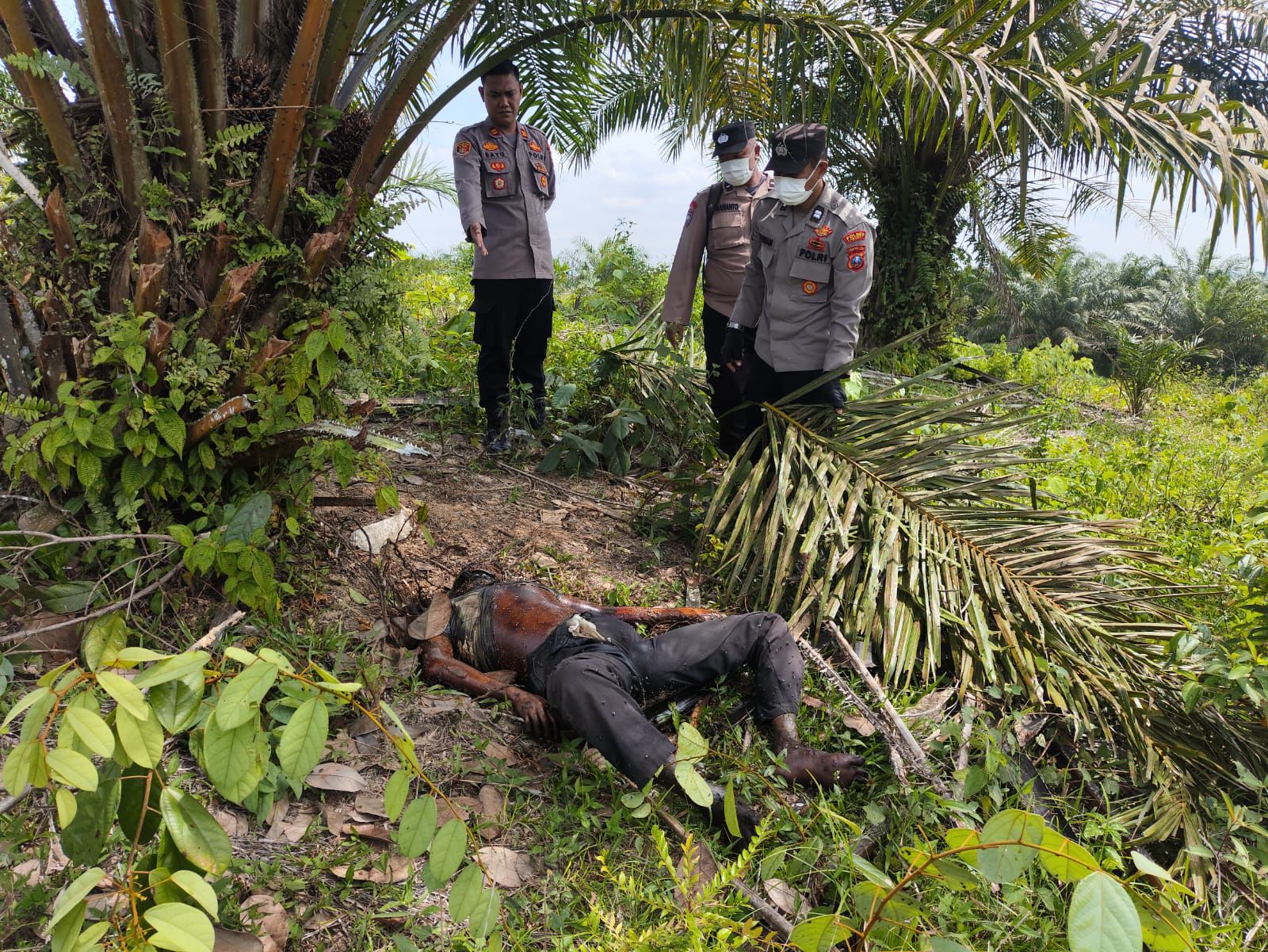 Warga Desa Buluh Telang Temukan Mayat Mr X