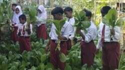 Dukung Sumbawa Hijau Lestari, Kabid SD Alwan Sebut 50 Persen Sekolah Laksanakan Sekolah Hijau