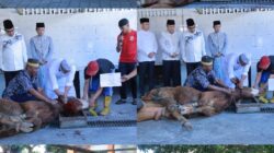 Kapolda NTB Irjen Pol. Hadi Gunawan Serahkan Hewan Qurban dan Saksikan Penyembelihan di Masjid Baitussalam Polda NTB
